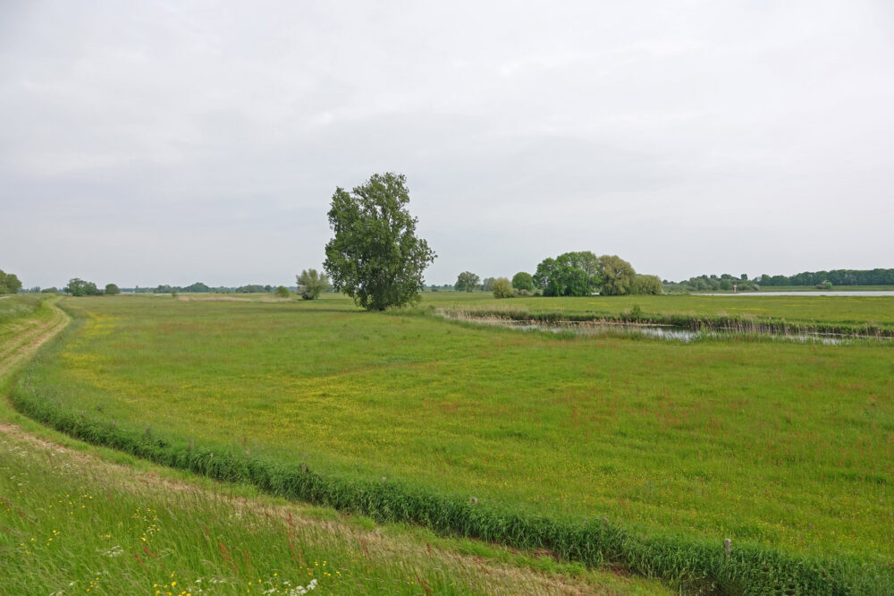 Aersoltweerden (IJsselvallei)
