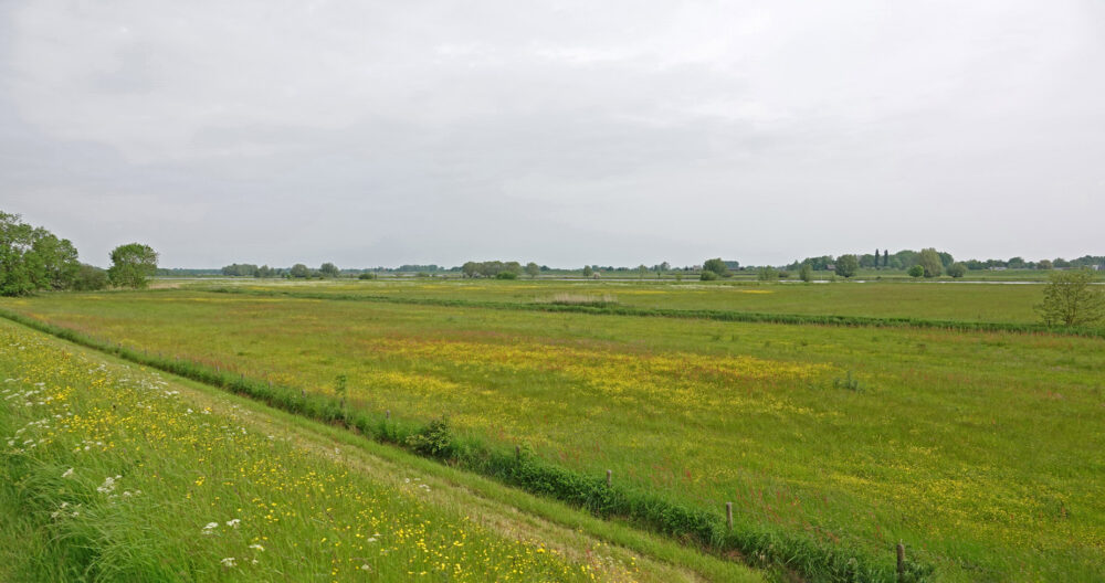 Aersoltweerden (IJsselvallei)