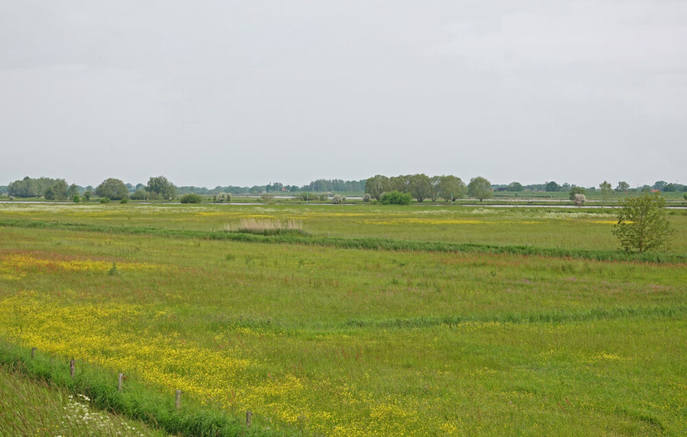 Aersoltweerden