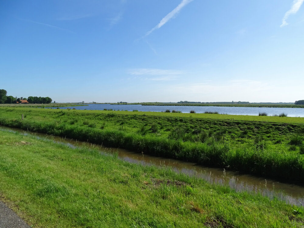 Ae&#039;s Woudbloem (Hooiweg)