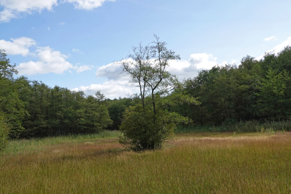 Agelerbroek