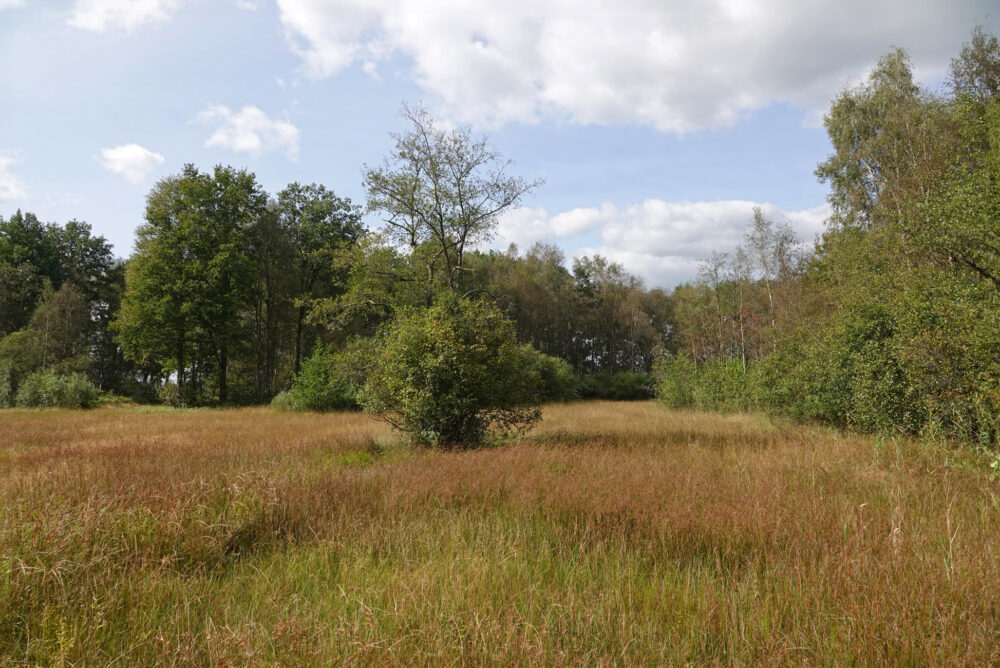 Agelerbroek
