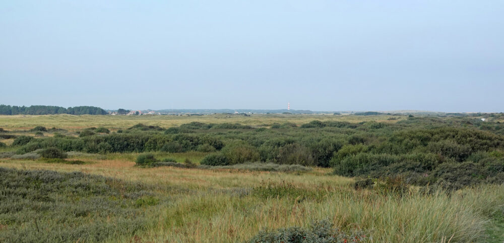 Ameland