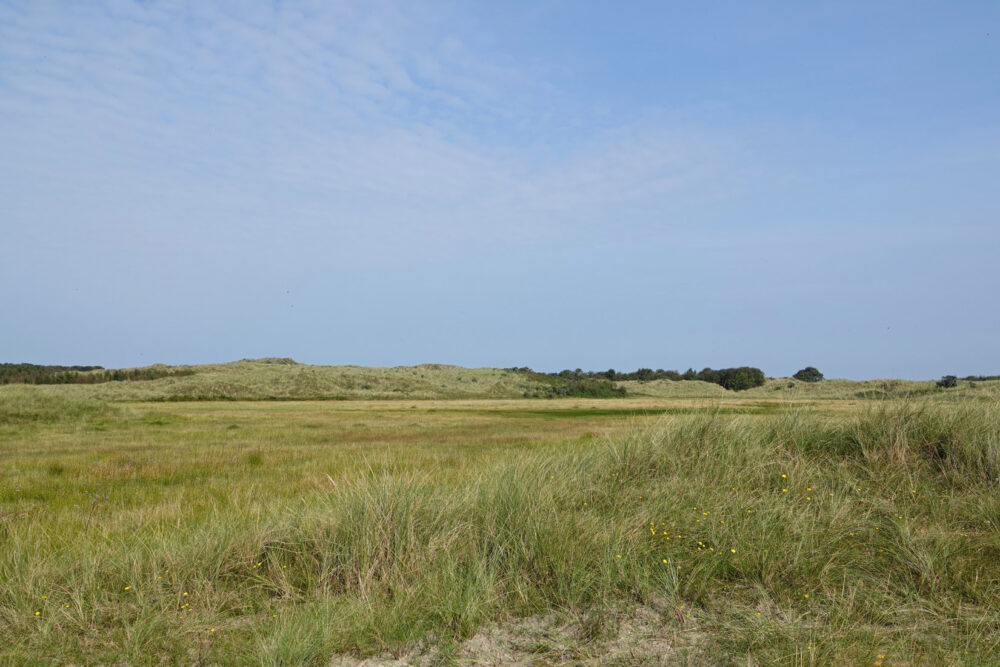Ameland (Kooiduinen)