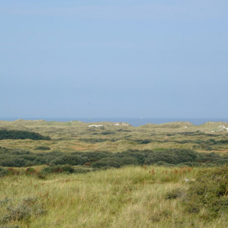 Ameland (Oerd)