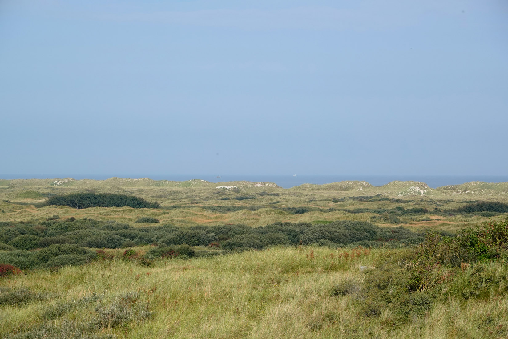 Ameland (Oerd)