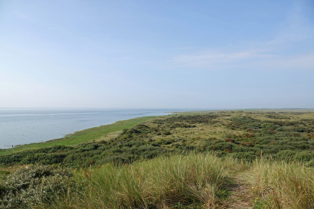 Ameland (Oerd)