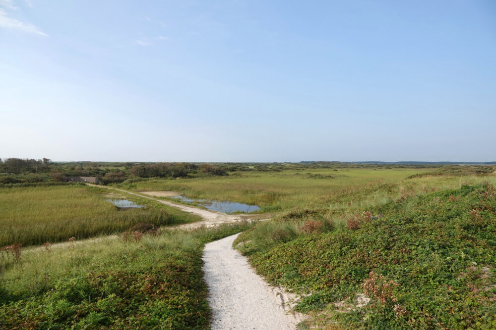 Ameland (Zwanewaterduinen)