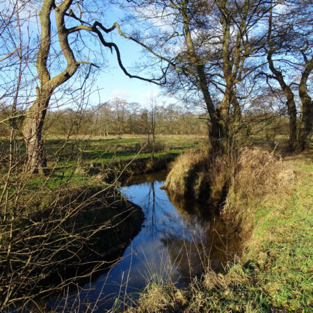 Amerdiep in de winter