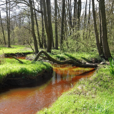 Anlooërdiepje (Burgvallen)