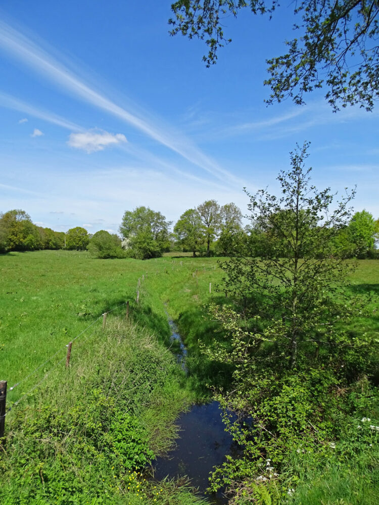Anlooërdiepje (Drentsche Aa)