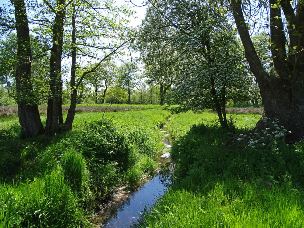 Anlooërdiepje (Drentsche Aa)