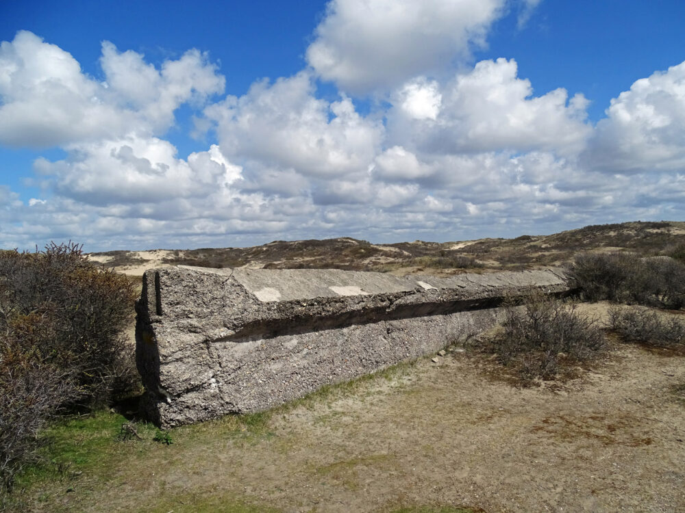 Atlantic Wall in Berkheide (voorjaar)