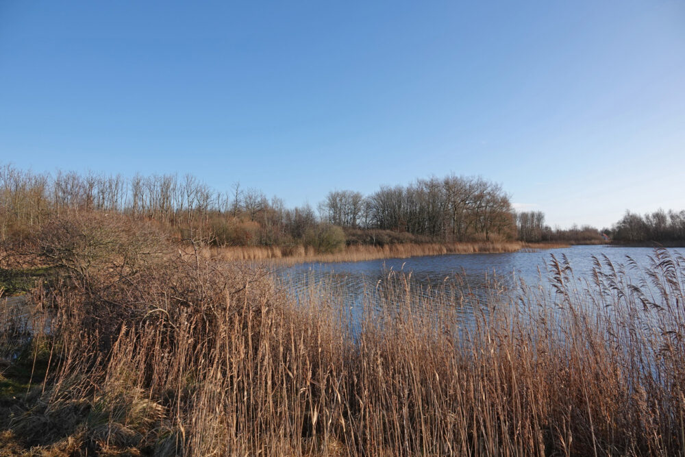 Ballastplaatbos