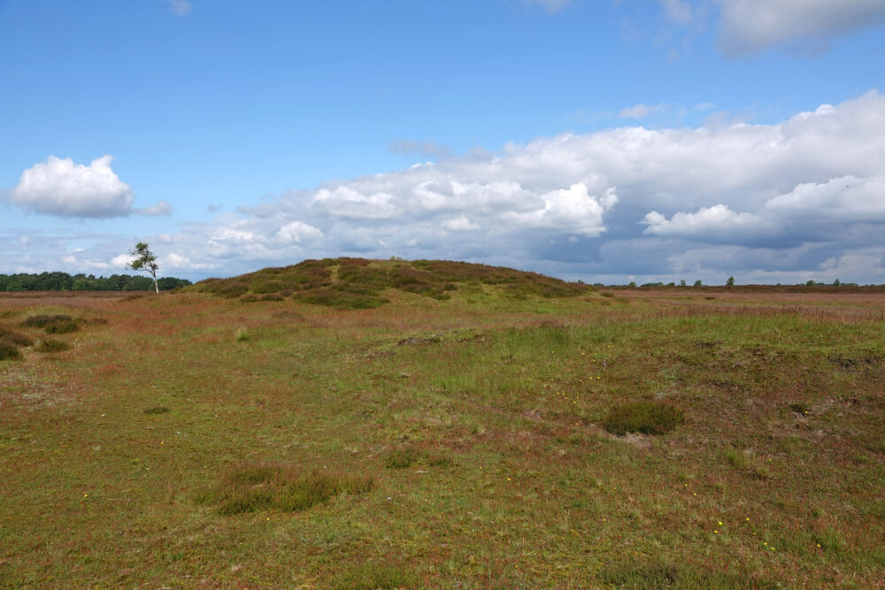 Balloërveld