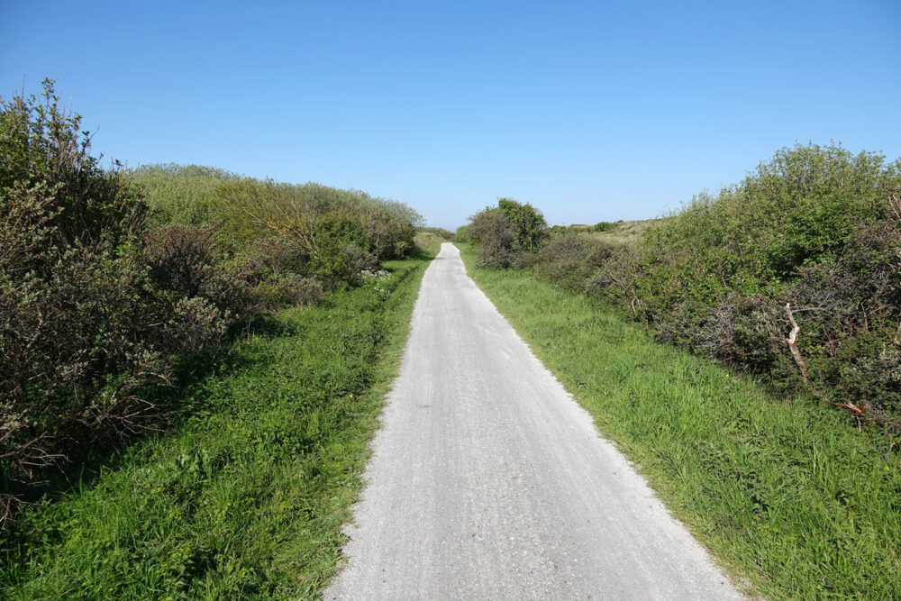 Ballumerduinen (Ameland)