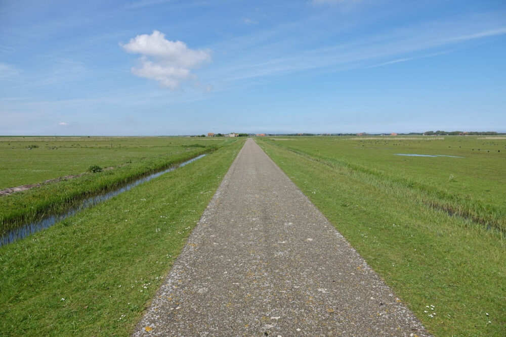 Ballumermieden (Ameland)