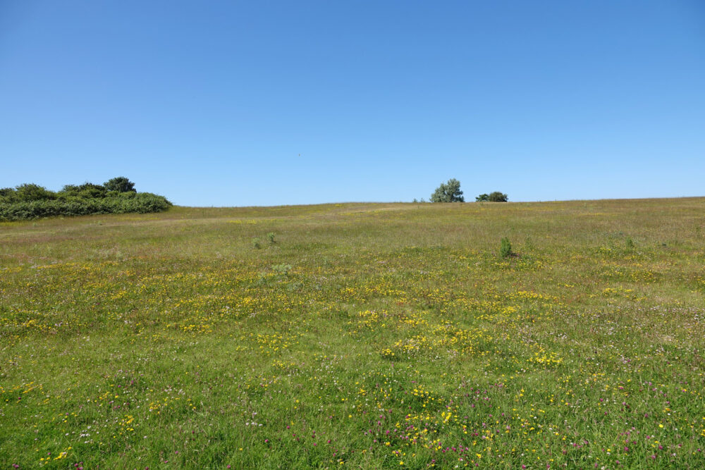 Bank van Banck (Schiermonnikoog)