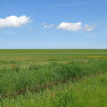 Bantpolder