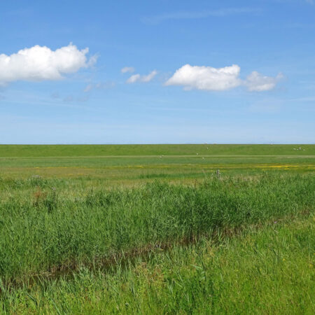 Bantpolder