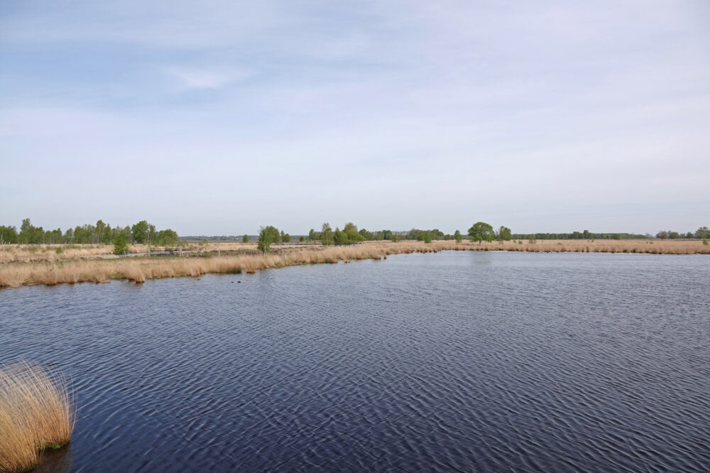Bargerveen