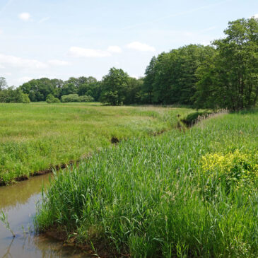 Beekdal Taarlosche Diep