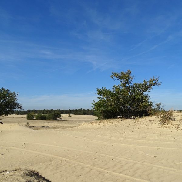 Beekhuizerzand