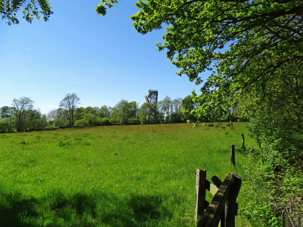 Beelestukken in de Weeringsbroeken (Onlanden)