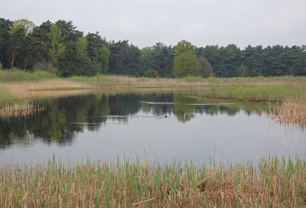 Beerzerveld