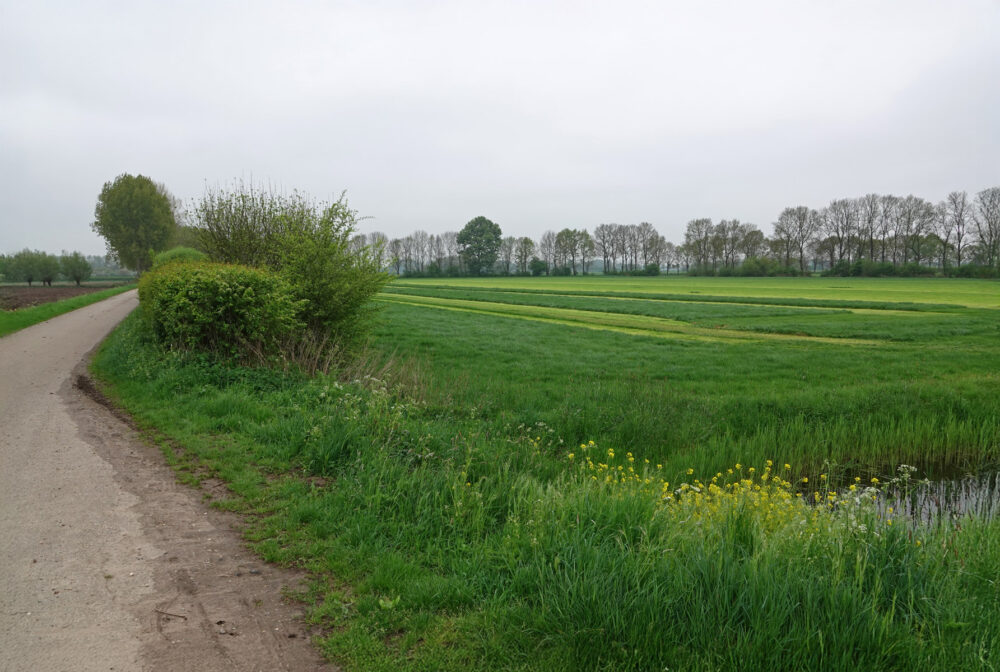 Beimerwaard