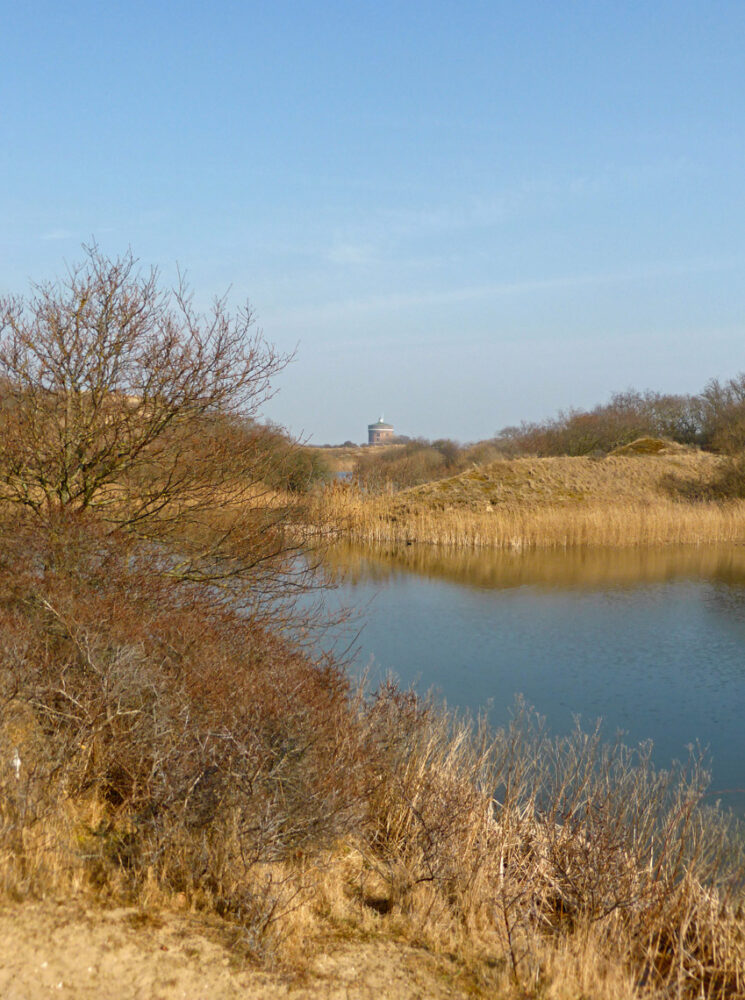 Berkheide