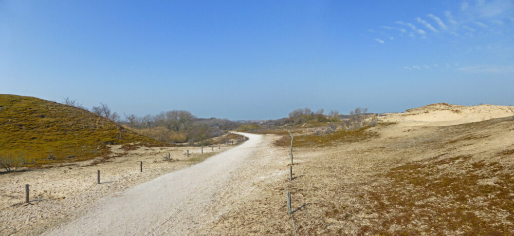 Berkheide