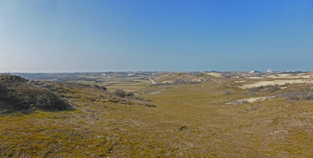 Berkheide