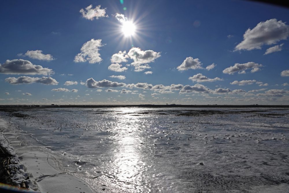Bevroren Waddenzee (Noordpolderzijl)