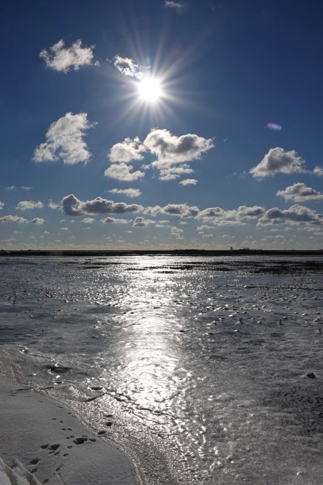 Bevroren Waddenzee (Noordpolderzijl)