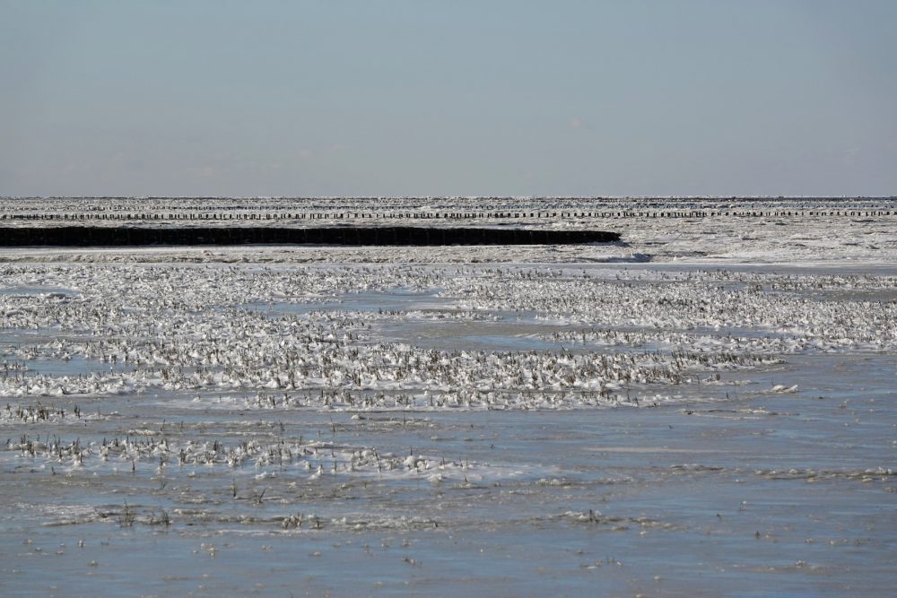Bevroren Waddenzee (Noordpolderzijl)