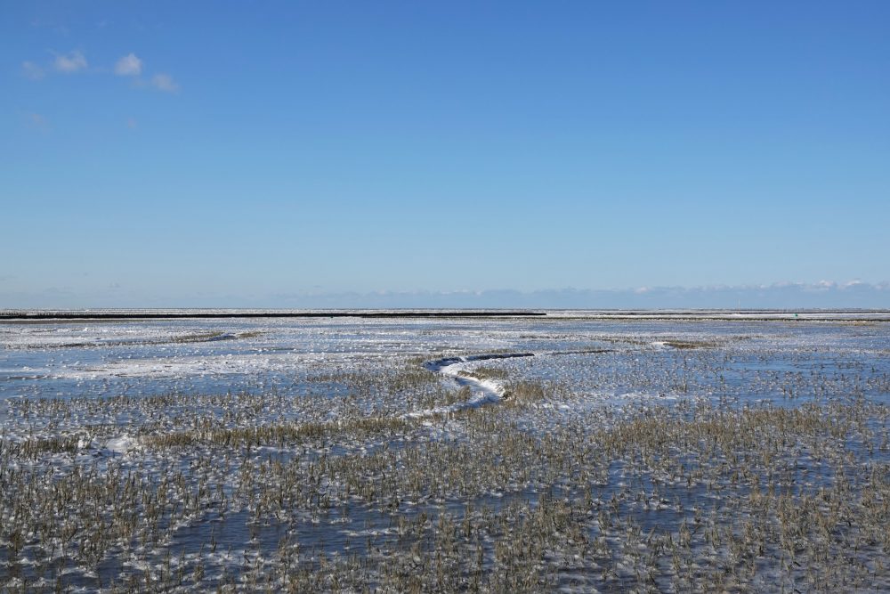 Bevroren kwelders Noordpolder