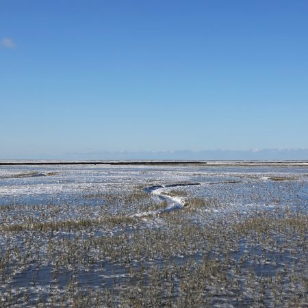 Bevroren Waddenzee (kwelders Noordpolder)