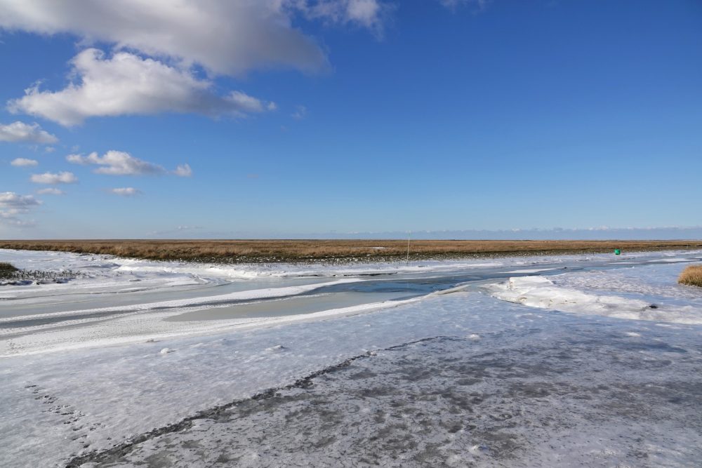 Bevroren kwelders Noordpolderzijl