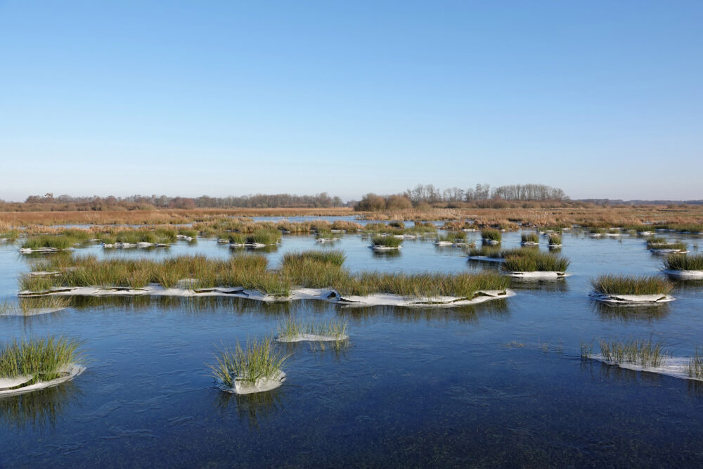 Bevroren plassen in de Broekstukken