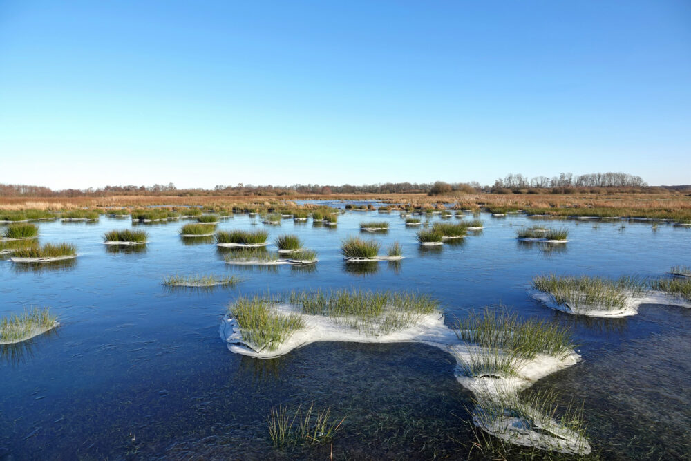 Bevroren plassen in de Broekstukken