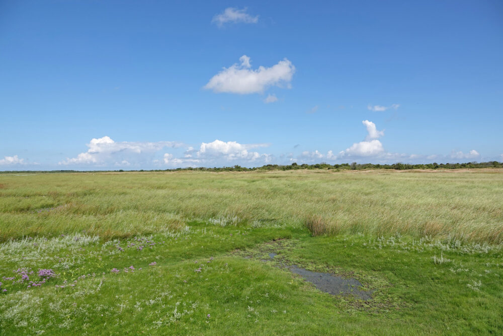 Binnenkwelder op Schiermonnikoog