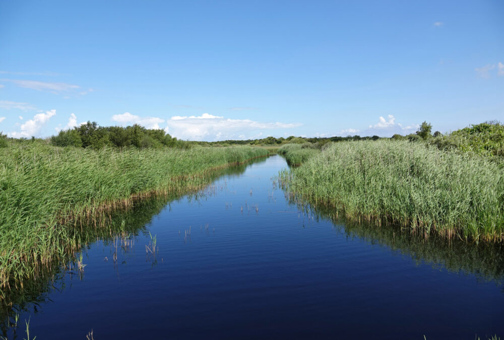 Binnenkwelder op Schiermonnikoog