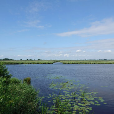 Blauwvennen (Onlanden)