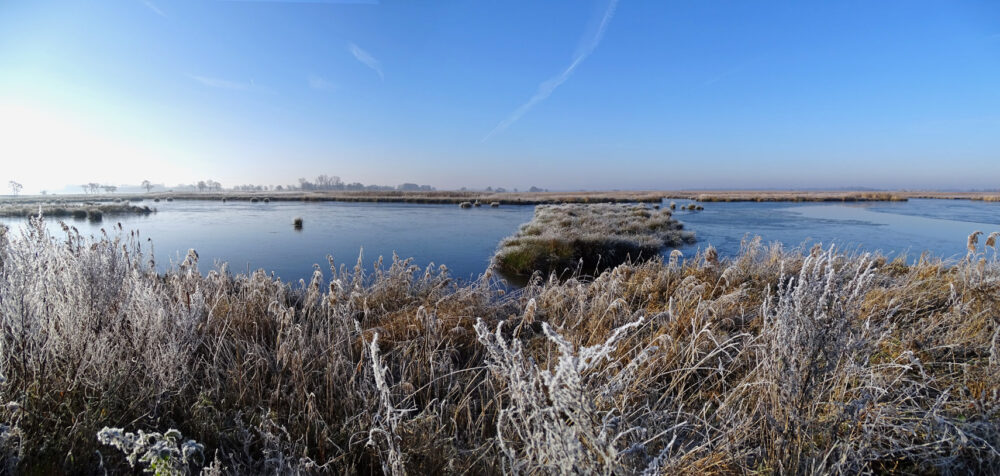 Blauwvennen in ochtend na flinke nachtvorst (Onlanden)
