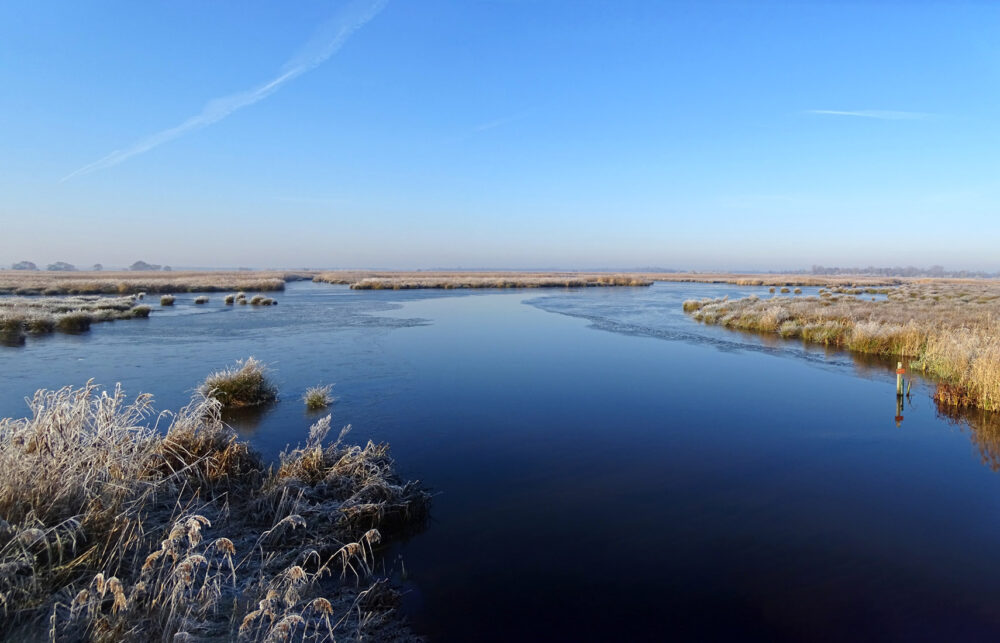 Blauwvennen in ochtend na flinke nachtvorst (Onlanden)