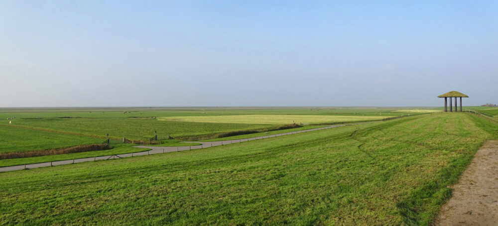 Blije en Ferwert (Buitendyks)