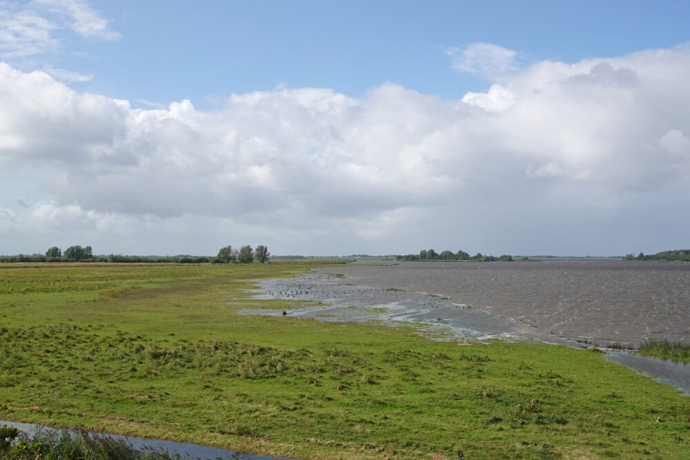 Blikplaatgat in Kollumerwaard (NP Lauwersmeer)