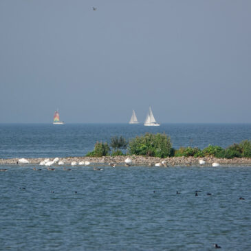 Bocht van Molkwar (Friesland)