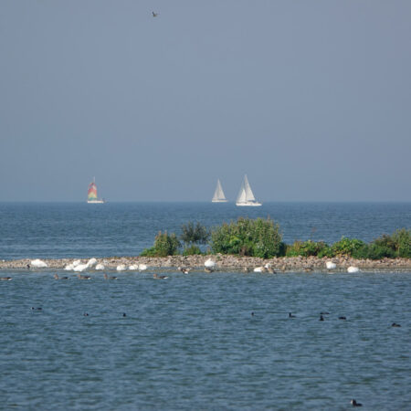 Bocht van Molkwar (Friesland)